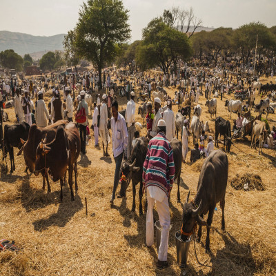 Kundri Mela Package Tour